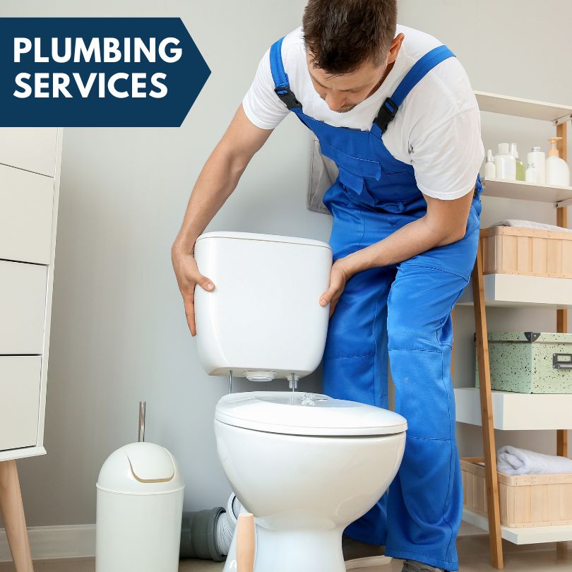 Plumbing Company in Vestaburg, MI